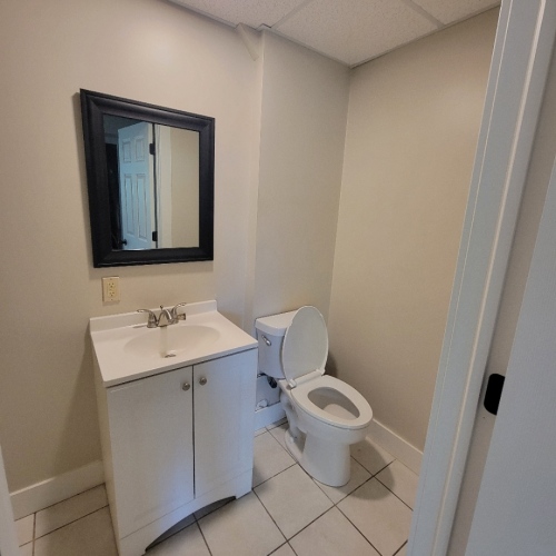 16-Lower-level-bathroom